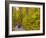 Franconia Notch State Park, New Hampshire, New England, United States of America, North America-Alan Copson-Framed Photographic Print