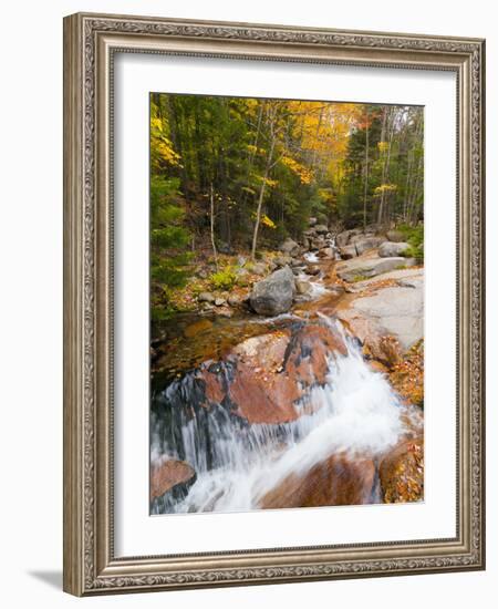 Franconia Notch State Park, New Hampshire, New England, United States of America, North America-Alan Copson-Framed Photographic Print