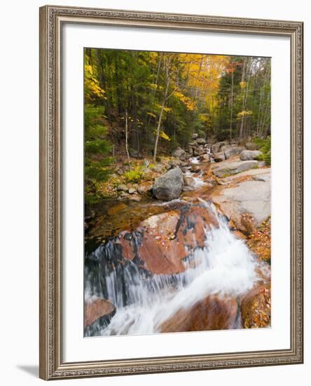 Franconia Notch State Park, New Hampshire, New England, United States of America, North America-Alan Copson-Framed Photographic Print