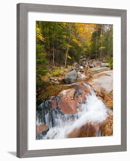 Franconia Notch State Park, New Hampshire, New England, United States of America, North America-Alan Copson-Framed Photographic Print