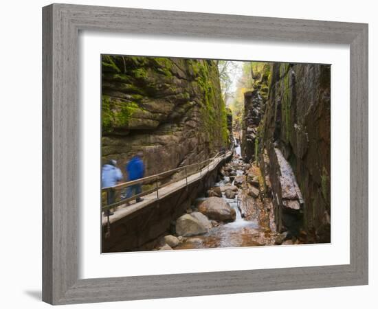 Franconia Notch State Park, New Hampshire, New England, United States of America, North America-Alan Copson-Framed Photographic Print