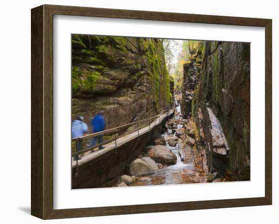 Franconia Notch State Park, New Hampshire, New England, United States of America, North America-Alan Copson-Framed Photographic Print