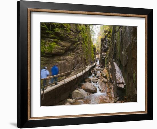 Franconia Notch State Park, New Hampshire, New England, United States of America, North America-Alan Copson-Framed Photographic Print