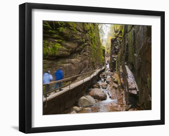 Franconia Notch State Park, New Hampshire, New England, United States of America, North America-Alan Copson-Framed Photographic Print