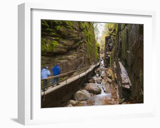 Franconia Notch State Park, New Hampshire, New England, United States of America, North America-Alan Copson-Framed Photographic Print