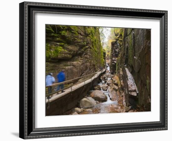 Franconia Notch State Park, New Hampshire, New England, United States of America, North America-Alan Copson-Framed Photographic Print