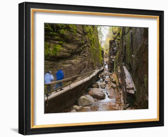 Franconia Notch State Park, New Hampshire, New England, United States of America, North America-Alan Copson-Framed Photographic Print