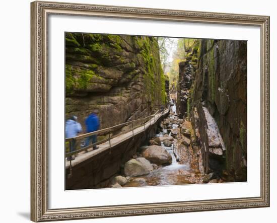 Franconia Notch State Park, New Hampshire, New England, United States of America, North America-Alan Copson-Framed Photographic Print