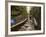 Franconia Notch State Park, New Hampshire, New England, United States of America, North America-Alan Copson-Framed Photographic Print