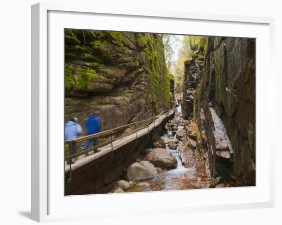 Franconia Notch State Park, New Hampshire, New England, United States of America, North America-Alan Copson-Framed Photographic Print