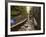 Franconia Notch State Park, New Hampshire, New England, United States of America, North America-Alan Copson-Framed Photographic Print