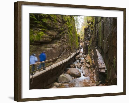 Franconia Notch State Park, New Hampshire, New England, United States of America, North America-Alan Copson-Framed Photographic Print