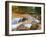 Franconia Notch State Park, New Hampshire, New England, United States of America, North America-Alan Copson-Framed Photographic Print