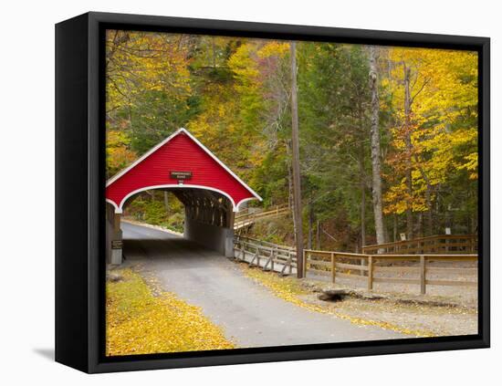 Franconia Notch State Park, New Hampshire, New England, United States of America, North America-Alan Copson-Framed Premier Image Canvas