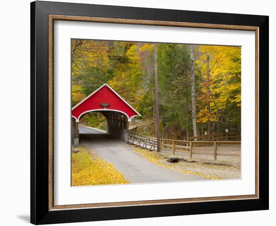 Franconia Notch State Park, New Hampshire, New England, United States of America, North America-Alan Copson-Framed Photographic Print