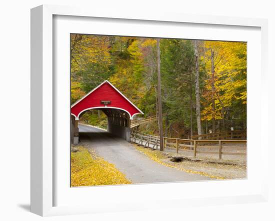 Franconia Notch State Park, New Hampshire, New England, United States of America, North America-Alan Copson-Framed Photographic Print