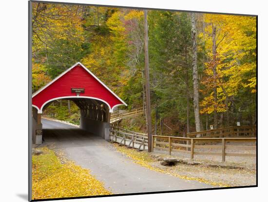 Franconia Notch State Park, New Hampshire, New England, United States of America, North America-Alan Copson-Mounted Photographic Print