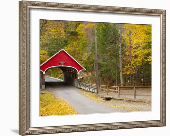 Franconia Notch State Park, New Hampshire, New England, United States of America, North America-Alan Copson-Framed Photographic Print