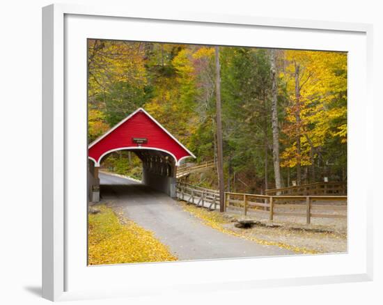 Franconia Notch State Park, New Hampshire, New England, United States of America, North America-Alan Copson-Framed Photographic Print