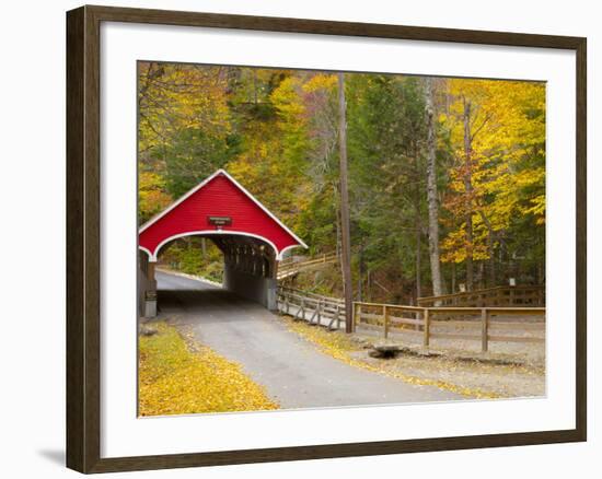 Franconia Notch State Park, New Hampshire, New England, United States of America, North America-Alan Copson-Framed Photographic Print