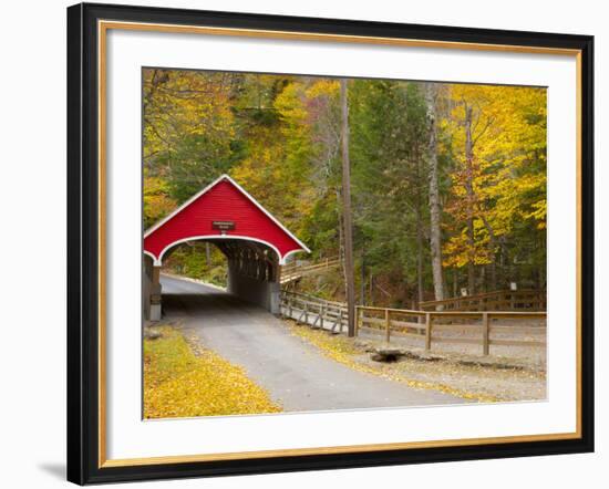 Franconia Notch State Park, New Hampshire, New England, United States of America, North America-Alan Copson-Framed Photographic Print