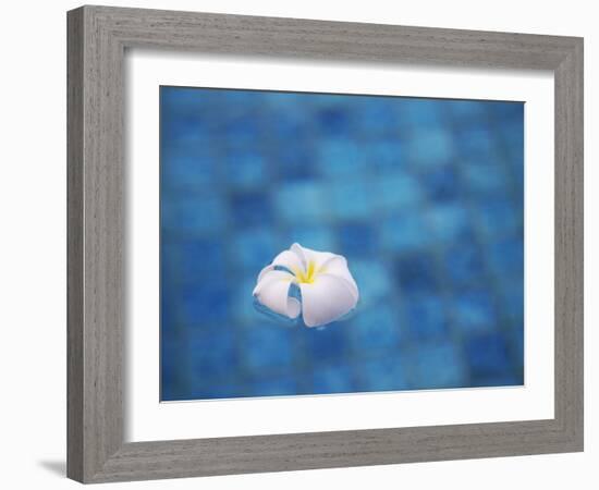 Frangipani Flower in Pool, Ubud, Bali, Indonesia-Ian Trower-Framed Photographic Print