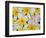 Frangipani Flowers-Darrell Gulin-Framed Photographic Print