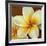 Frangipani I-Clunia-Framed Art Print