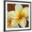 Frangipani I-Clunia-Framed Art Print