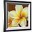 Frangipani I-Clunia-Framed Art Print