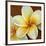 Frangipani I-Clunia-Framed Art Print