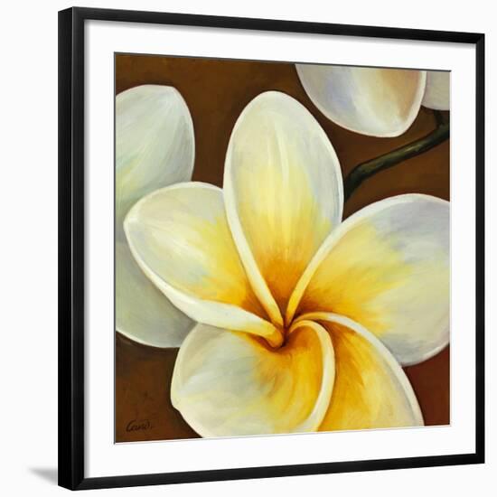 Frangipani II-Clunia-Framed Art Print