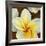 Frangipani II-Clunia-Framed Art Print