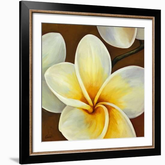 Frangipani II-Clunia-Framed Art Print