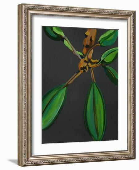 Frangipani Leaves, Bequia, 2008-Deborah Barton-Framed Giclee Print