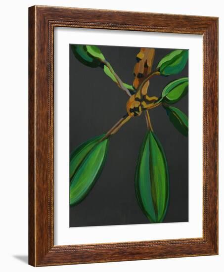 Frangipani Leaves, Bequia, 2008-Deborah Barton-Framed Giclee Print