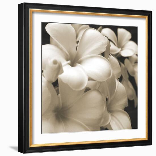 Frangipani Twilight I-Tony Koukos-Framed Giclee Print