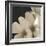 Frangipani Twilight III-Tony Koukos-Framed Giclee Print