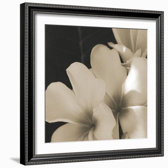 Frangipani Twilight III-Tony Koukos-Framed Giclee Print