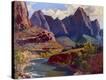 Stretched Canvas Print