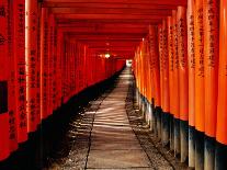 Fushimi-Inari Taisha "Torii Tunnels," Japan-Frank Carter-Photographic Print
