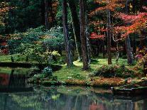 Autumn Leaves on Ground at Saiho-Ji, Kyoto, Japan-Frank Carter-Framed Photographic Print