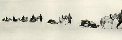 'Ponies on the March', 1911, (1913)-Frank Debenham-Framed Photographic Print