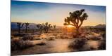 Photographic Print