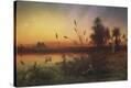 Stretched Canvas Print