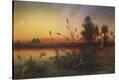 Stretched Canvas Print