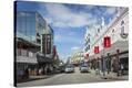 Stretched Canvas Print