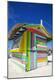 Photographic Print