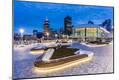 Photographic Print