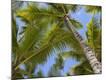 Premium Photographic Print
